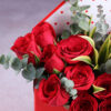 Story Enveloped In Scarlet Roses