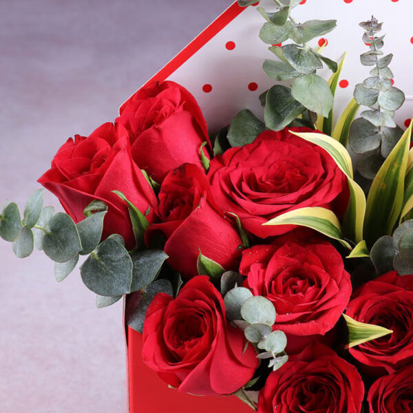 Story Enveloped In Scarlet Roses