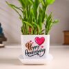 Lucky Bamboo For Anniversary