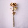 golden-hues-of-love-9953200sd-CCC_converted Endless Love Rose