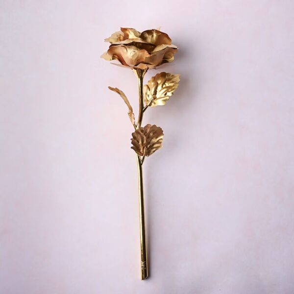 golden-hues-of-love-9953200sd-CCC_converted Endless Love Rose