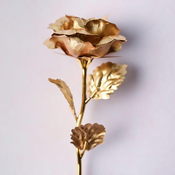 golden-hues-of-love-9953200sd-DDD_converted Endless Love Rose